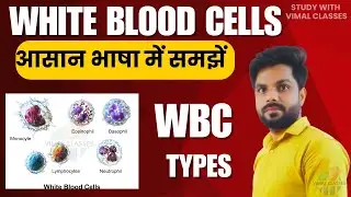 White blood cell in hindi || formation || types of WBCs || functions ||Blood Cells