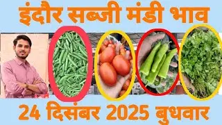 24 December 2025 मटर मे और बाकी सारी सब्जी मे हालत खराब /सब्जी मंडी भाव इंदौर /indore mandi bhav / 😳