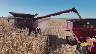 Stronger Together: How First Trust & Savings Bank Supports Local Farmers