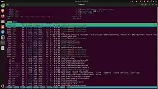 Expert Linux Developer Support for Your Project &ndash; Get Help Now