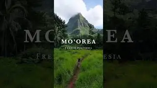 The BEST Island in French Polynesia 🇵🇫 #moorea
