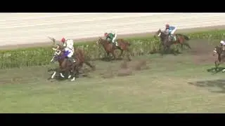 5th Race National Breeders Cup Winner Jim And Tonic | Ridden By Amir Pervaiz Trained By AB Malik |