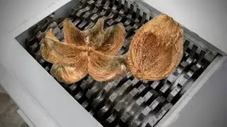 FAST SHREDDER MACHINE VS COCONUT HUSK #SHORTS