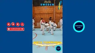 Kista Taekwondo Classes | Taekwondo Basics for Beginners | Taekwondo Practice in Sweden #mushabbar