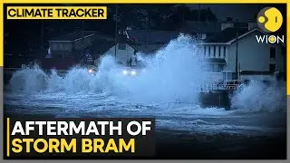 Dublin: Blackrock Village Begins Clean-up After Storm Bram | WION Climate Tracker