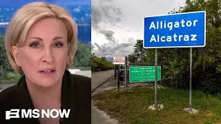 ‘We don’t treat people like animals’: Mika reacts to report on alleged torture at Alligator Alcatraz