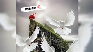 goofyahh version of(dabiggestbird)