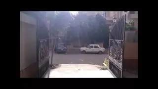 Technology Valley Calypso 400 Automatic Gate Opener in Egypt
