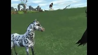 Herds | A Star Stable Online Series - part 1