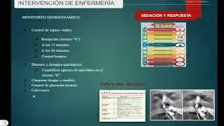 Recepción de Bomba, Adulto y Neonatal