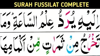 Surah fussilat Complete / verses 47-54 / Surah ha meem Sajdah / learn Quran easily at home