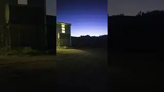 esprallando la uva media noche