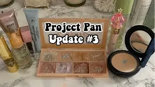 2022 PROJECT PAN UPDATE #3 (The Best Update We've Had!!)