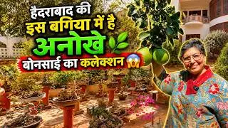 हैदराबाद की इस बगिया में है अनोखे बोनसाई का कलेक्शन 😱 Hyderabad Bonsai Garden Tour
