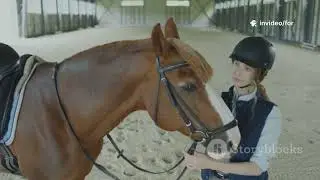 Stop Making These Horse Mistakes! Quick, confident tips for beginners