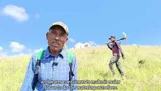 Reforestaci&oacute;n 2024 en el h&aacute;bitat de Profundulus oaxacae en Jalapa del Valle