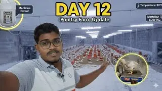 Day 12 Poultry Management: जरूरी दवाइयां (Medicines) और Profits वाली Tips 🐓🔥