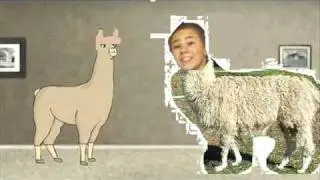 Barry the Camel #30: Harry the Llama moves to Cleveland, Ohio you chicken