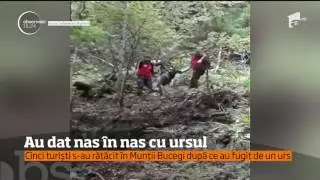 Cinci turişti care s-au speriat de un urs au rămas blocaţi pe nişte st&acirc;nci &icirc;n Munţii Bucegi
