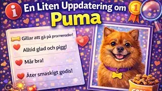 En liten uppdatering om Puma