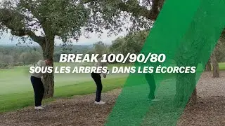 BREAK 100/90/80 : Sous les arbres, dans les &eacute;corces