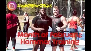 Month of February - Hammer Training - LB