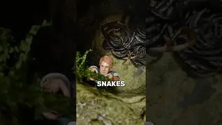 What Happens If You Fall Into a Snake Pit 🐍