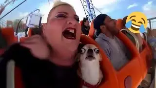 Best Fails of the Year | Try Not To Laugh🤣🤣#53