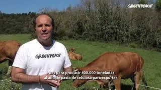 No a la megaf&aacute;brica de celulosa de Altri en Galicia