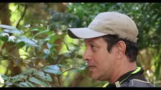 Grande Montagne Nature Reserve-&Icirc;le Rodrigues film Kite Surf Festival 2023-Go Green