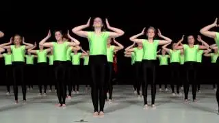 Flemming Efterskole Gymnastikgalla 2013