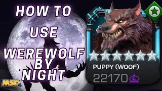 How to use Werewolf By Night - Simple and Effective Damage Dealer
