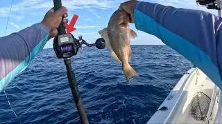 Piscifun Trollix Digital Reel Line Counter Reel: Review, And On-The-Water Action For Big Fish