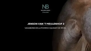JENSON VAN 'T MEULENHOF Z -promo
