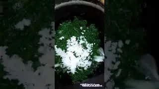Kathurumurunga Kola Mallum/Agati Leaves in Grated Coconut