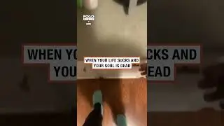 Man cheered up by garlic bread 🥖 😂            🎥: AGiftFromTodd via Collab