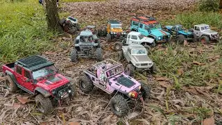 Weekend Offroad Rock Crawling RC Adventure Balikpapan 1/10 Scale Indonesia | RGT SCX10 TRX4 Vanquish