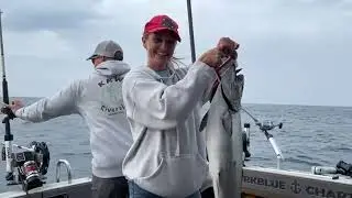 LAKE MICHIGAN SALMON ON A 300 COPPER
