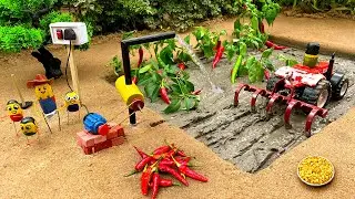 Mini DIY Tractor Ploughing Chili Farm 🌶️ | Water Pump Irrigation with Mini Farming Machines