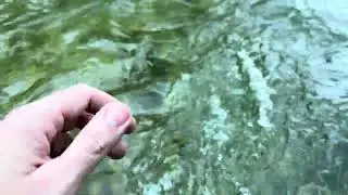 Fly fishing for Grayling on Revir Zmajevac in Ključ-Bosnia and Herzegovina ❤️🇧🇦