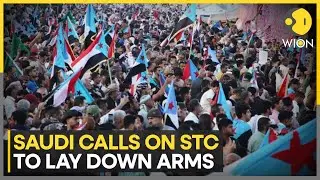 15,000 Saudi-Backed Fighters Amass at Yemen Border | WION NEWS