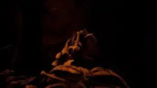 The Forest - Fly Mode