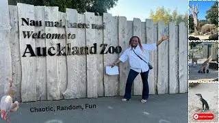 Largest Zoo in New Zealand - Full tour experience