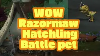 WOW Razormaw Hatchling Battle pet location: Wetlands