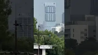 Loud Collared Kingfisher perched high on TV antenna #kingfisher #singapore #bird