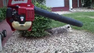 Red Max Blower