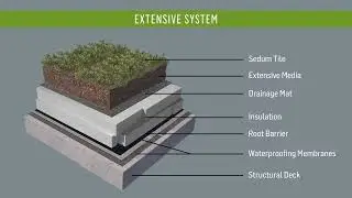 SOPRANATURE - Which System is Best for You?
