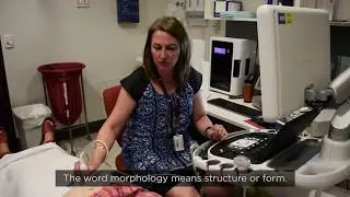 The Royal Women's Hospital: Pregnancy Appointments Part 2 - 20 Week Visit