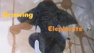 How to Draw a Hyper-Realistic Elephant