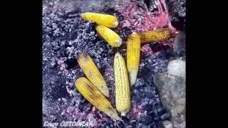 Almus Çevreli Kasabası
